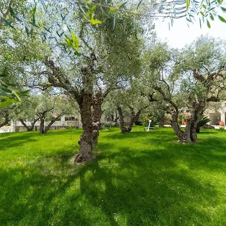 Comfy At Klelia Διαμέρισμα